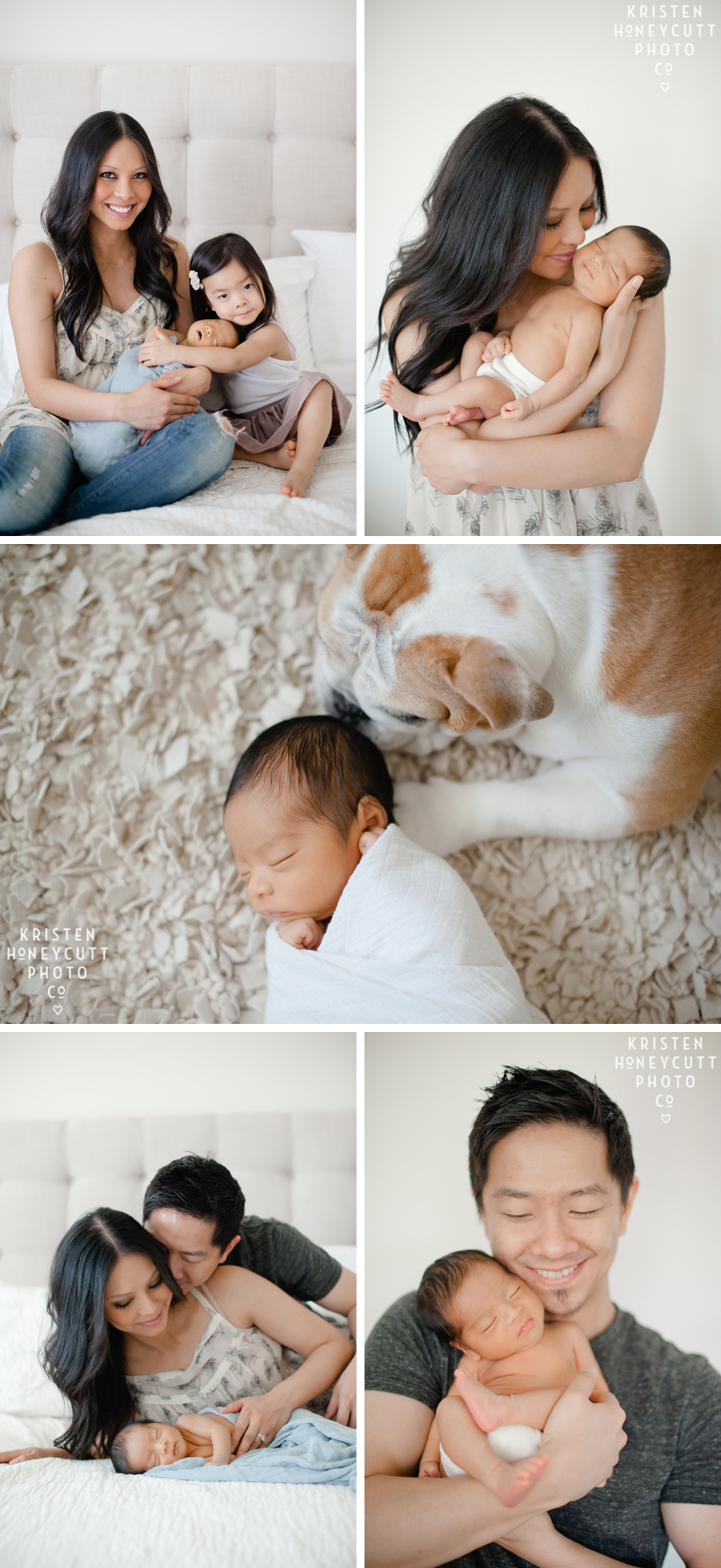 Family, sibling, and newborn portrait session with dog in Bothell Washington