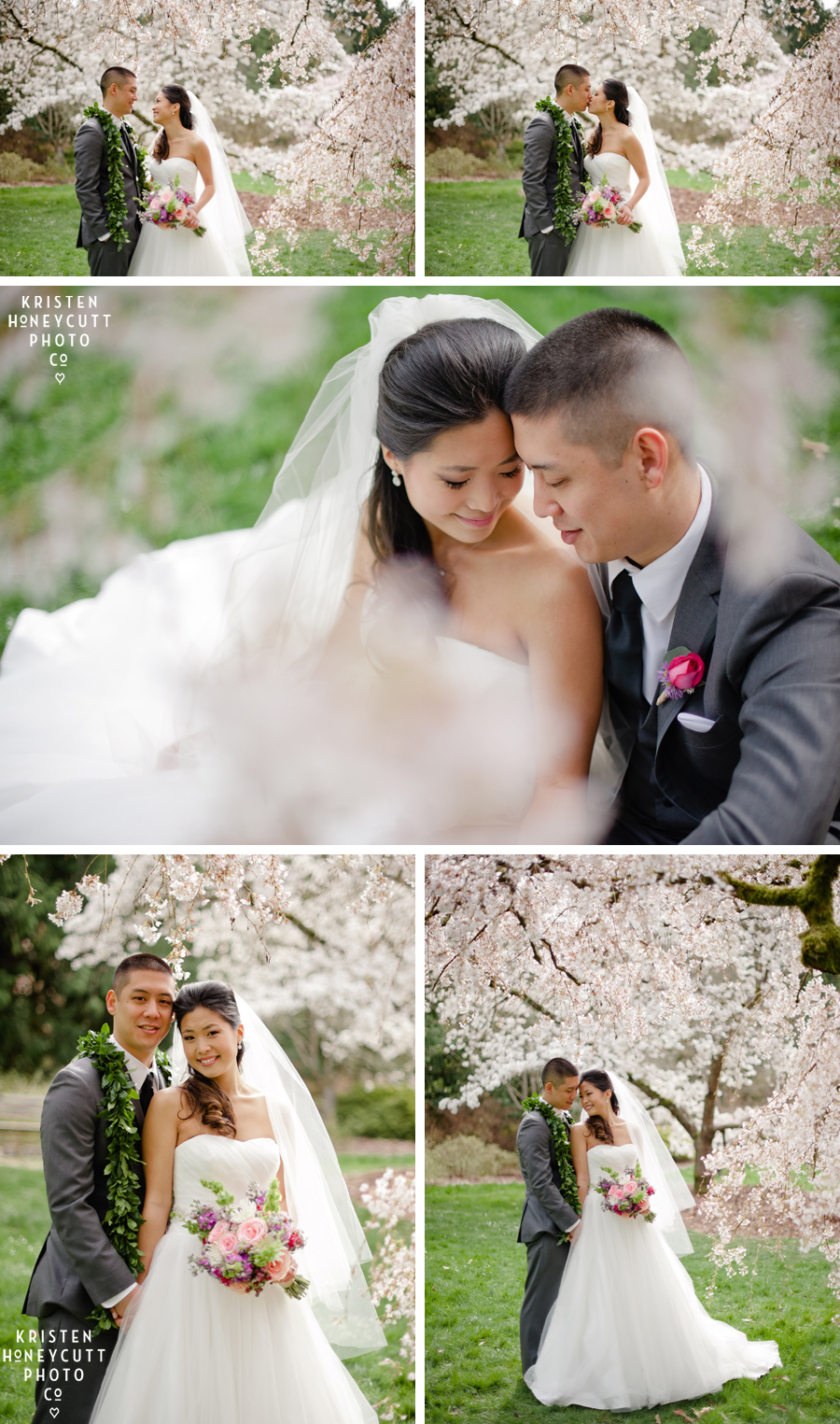 Bride and groom with gorgeous cherry blossoms in Seattle's Arboretum in Spring.